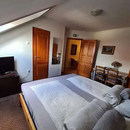 Palantir Panzio 3* Miskolc