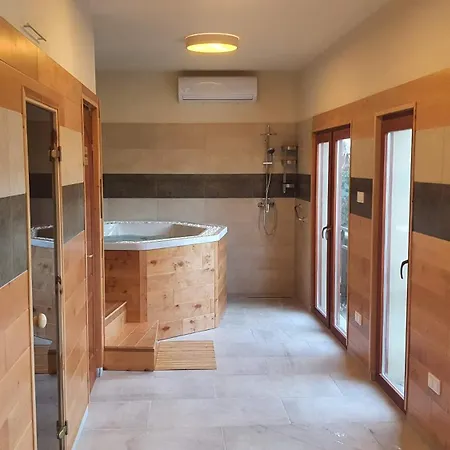 Palantir Panzio 4* Mişcolţ