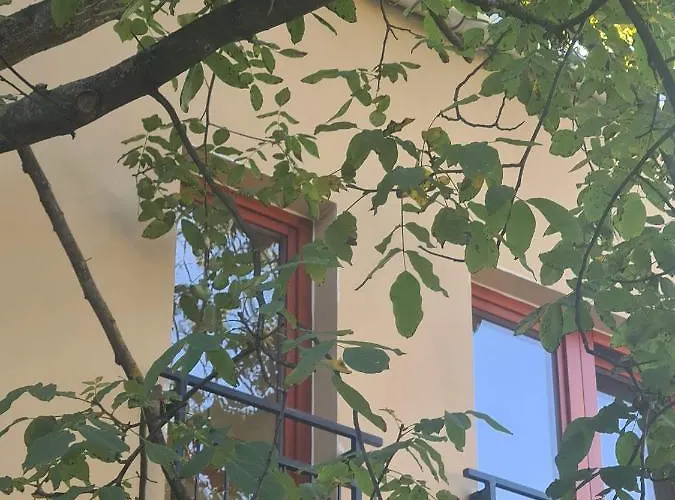 B&B Palantir Panzio 미슈콜츠