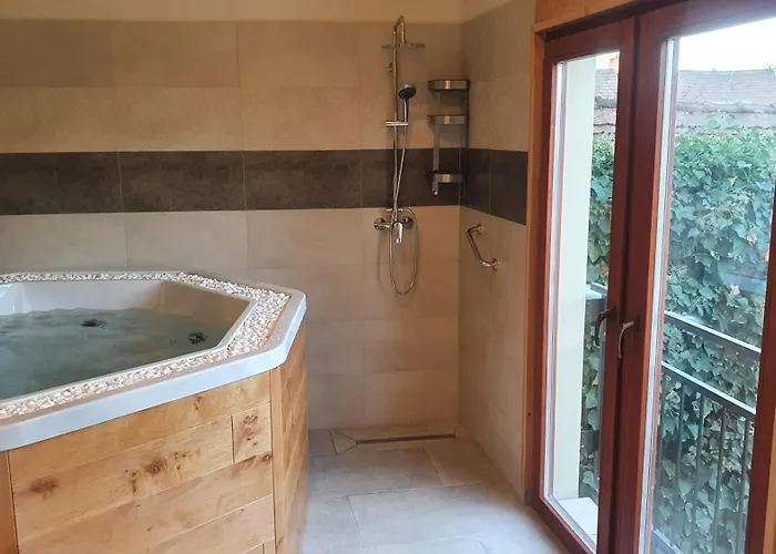 Palantir Panzio 미슈콜츠